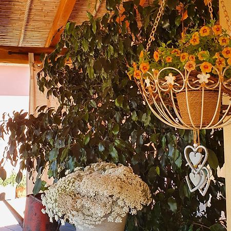 B&B La Vela Chia Buitenkant foto