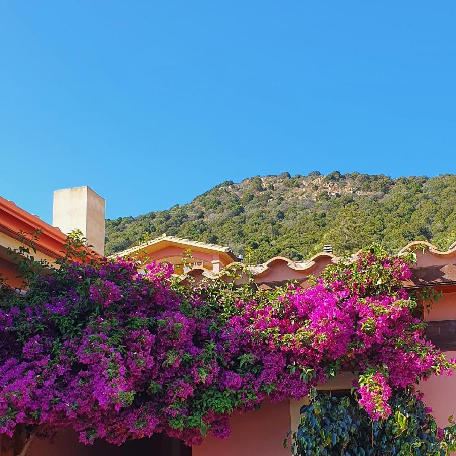 B&B La Vela Chia Buitenkant foto