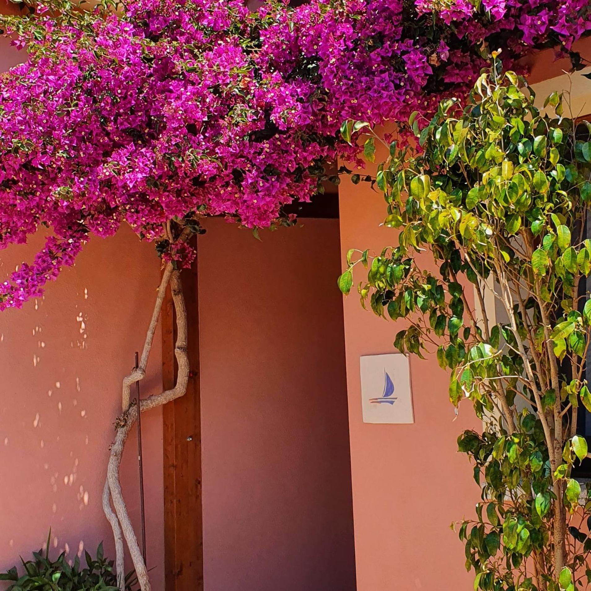 B&B La Vela Chia Buitenkant foto